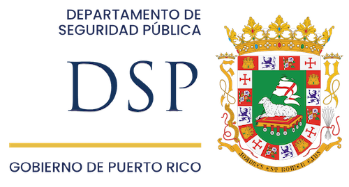 Seguridad Pública