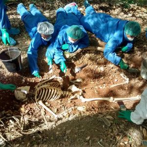 Grado Asociado en Justicia Criminal poniendo en práctica